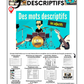 DES MOTS DESCRIPTIFS (Adjectifs) (A1-B1) 67-Page Full Package