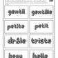 DES MOTS DESCRIPTIFS (Adjectifs) (A1-B1) 67-Page Full Package